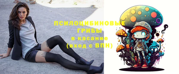 МДПВ Аркадак