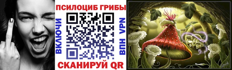 это официальный сайт  Сергач  Галлюциногенные грибы мухоморы  хочу наркоту  МЕГА tor 